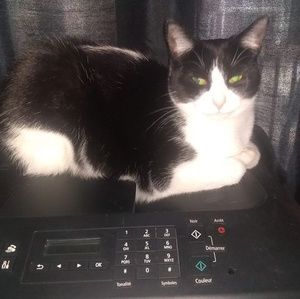 Meet your Posher, Julie